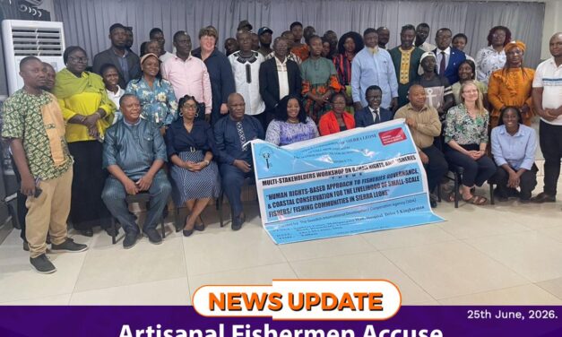 Artisanal Fishermen Accuse Ministry of Fisheries of Failing to Adequately Protect Them