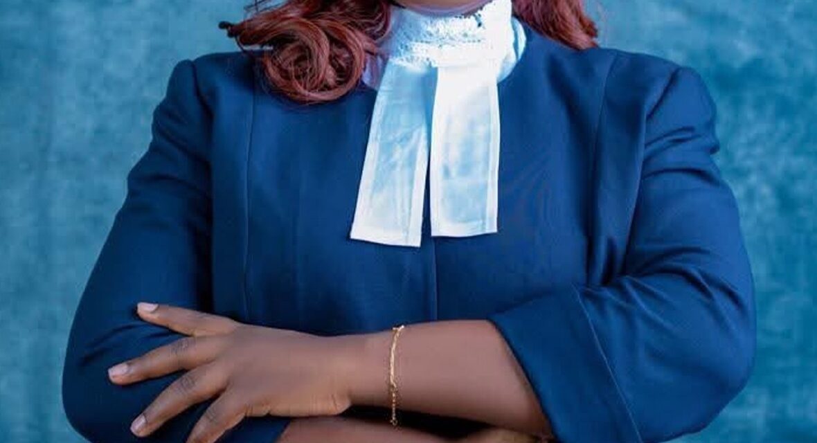 “Without Legal Effect”: Martina Egbenda Challenges Legality of SLBA Electronic Registration and Official Receipts