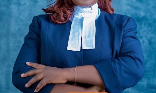 “Without Legal Effect”: Martina Egbenda Challenges Legality of SLBA Electronic Registration and Official Receipts