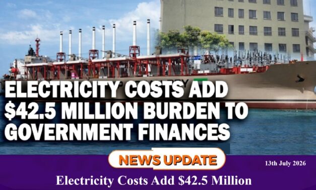 Electricity Costs Add $42.5 Million Burden to Government Finances