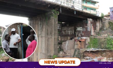 SLRA DG Leads Technical Team to Reassess Old Railway Line Bridge, Warns of Safety Risks