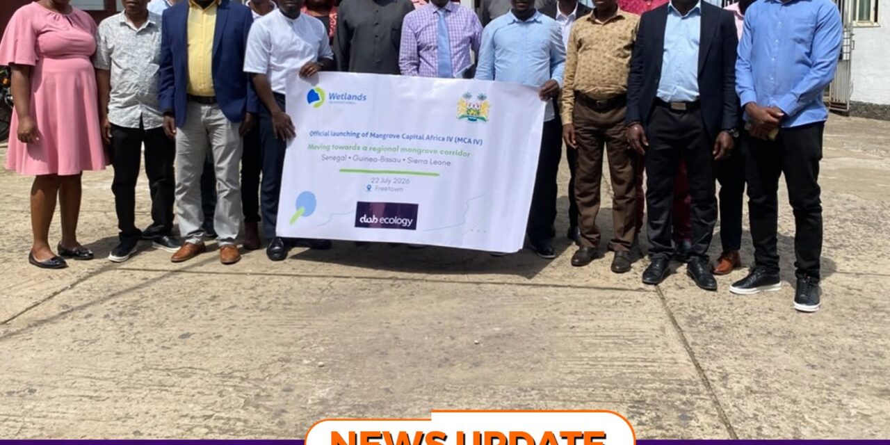 Wetlands International, Partners Launch Mangrove Capital Africa Phase IV to Restore Degraded Wetlands