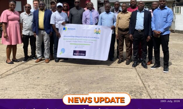 Wetlands International, Partners Launch Mangrove Capital Africa Phase IV to Restore Degraded Wetlands
