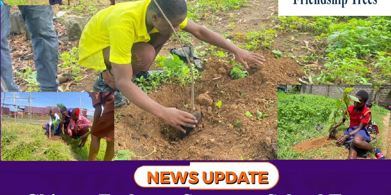Chinese Embassy Supports School Tree-Planting Campaign in Freetown
