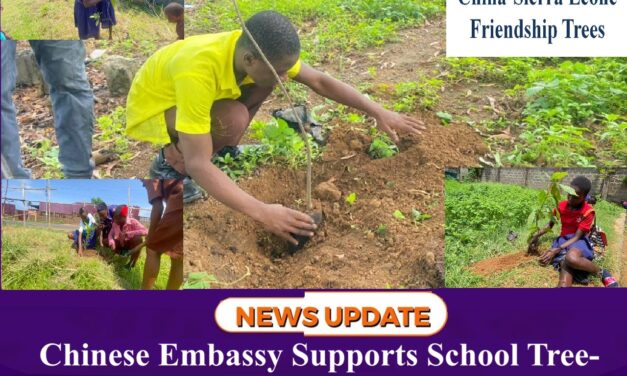 Chinese Embassy Supports School Tree-Planting Campaign in Freetown