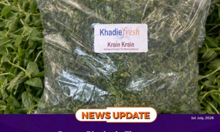 Export Blockade Threatens Thriving ‘Plassas’ Trade at Lungi
