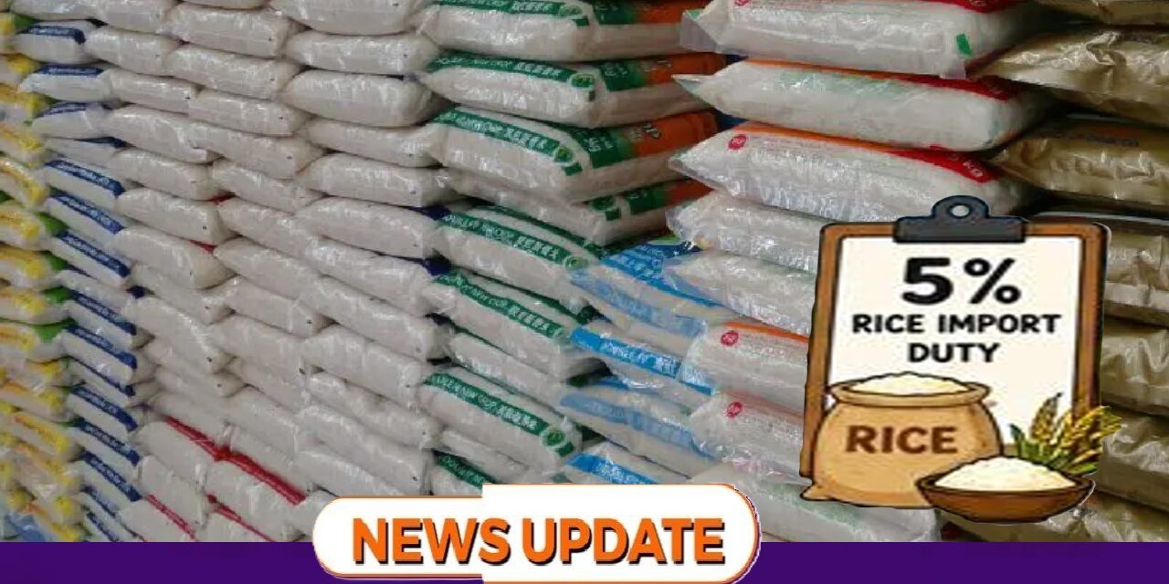 Sierra Leone Raised Le365.2M in Rice Import Duty, but Only 9% Reached the Agricultural Development Fund