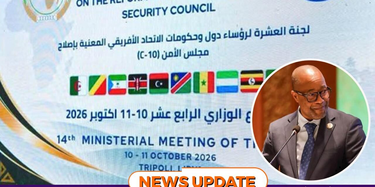 Africa Pushes Ahead with UN Security Council Reform