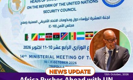 Africa Pushes Ahead with UN Security Council Reform