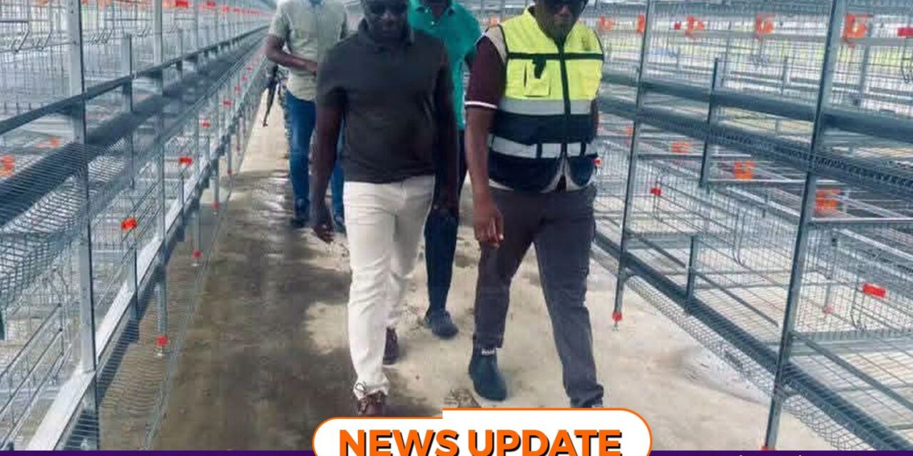 Agriculture Minister Takes Stock of Major Poultry Investments Driving Feed Salone Ahead of 3rd Anniversary