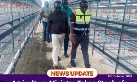 Agriculture Minister Takes Stock of Major Poultry Investments Driving Feed Salone Ahead of 3rd Anniversary
