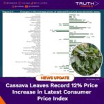 Cassava Leaves Record 12% Price Increase in Latest Consumer Price Index
