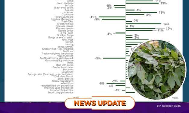 Cassava Leaves Record 12% Price Increase in Latest Consumer Price Index