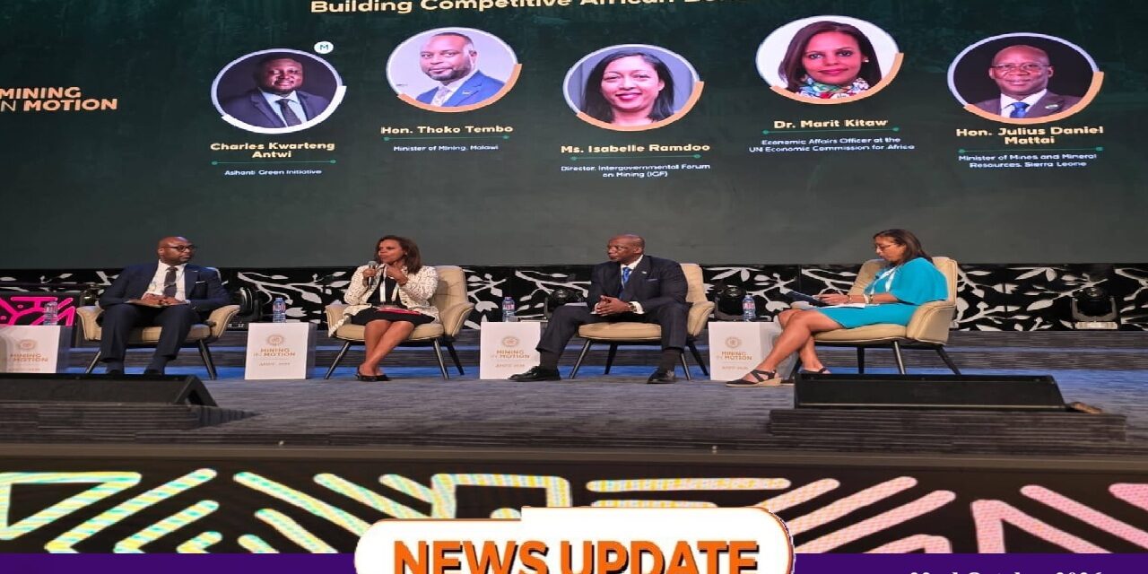 Mines and Mineral Resources Minister Calls for African Unity on Mineral Value Addition   