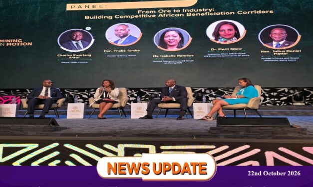 Mines and Mineral Resources Minister Calls for African Unity on Mineral Value Addition   
