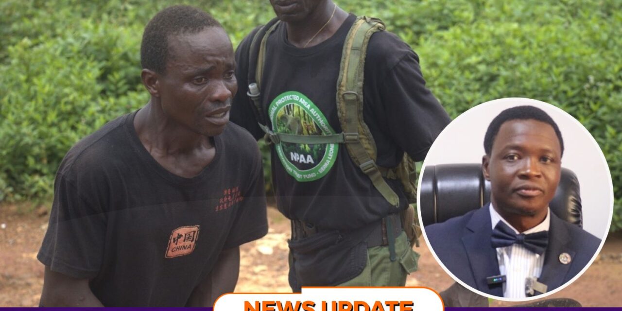 Man Jailed Four Years or Fined Le30,000 for Illegal Charcoal Production
