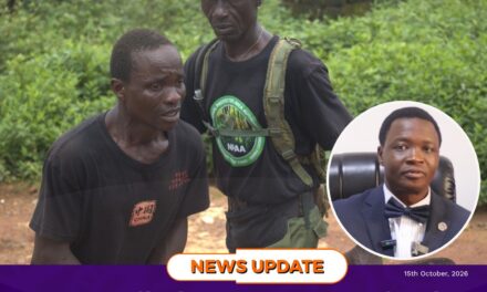 Man Jailed Four Years or Fined Le30,000 for Illegal Charcoal Production
