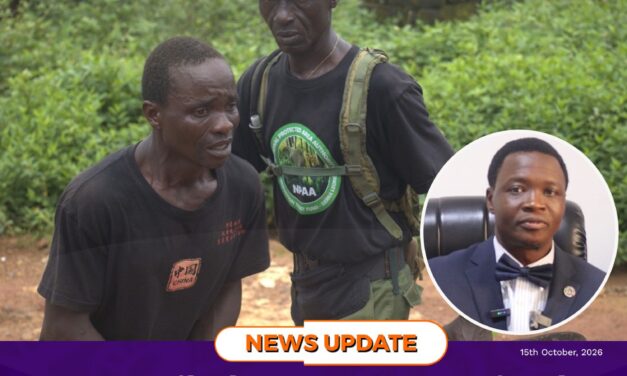 Man Jailed Four Years or Fined Le30,000 for Illegal Charcoal Production